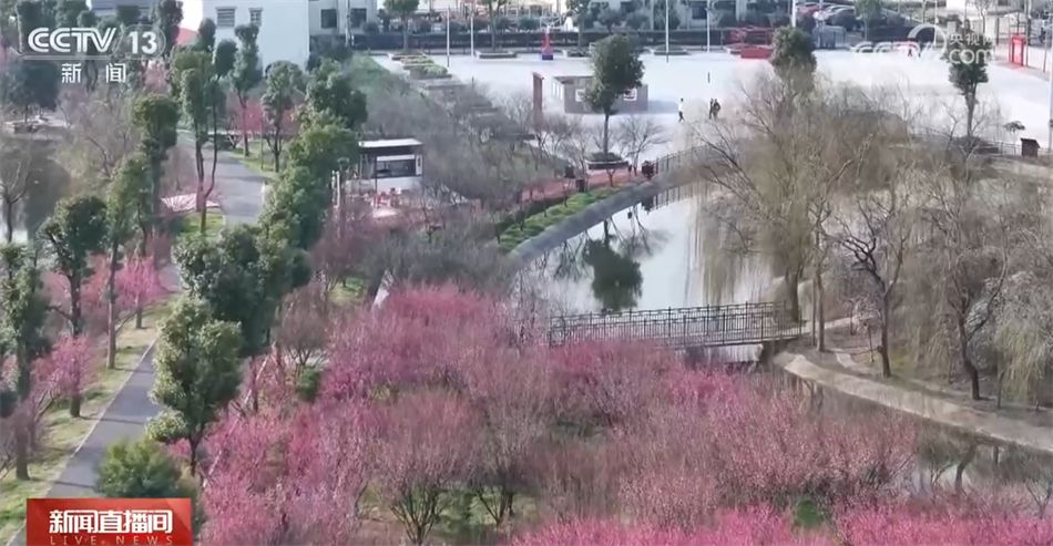 ng体育：美食、美景、“人间烟火” 春暖花开万物复苏 踏青赏景正当时(图2)