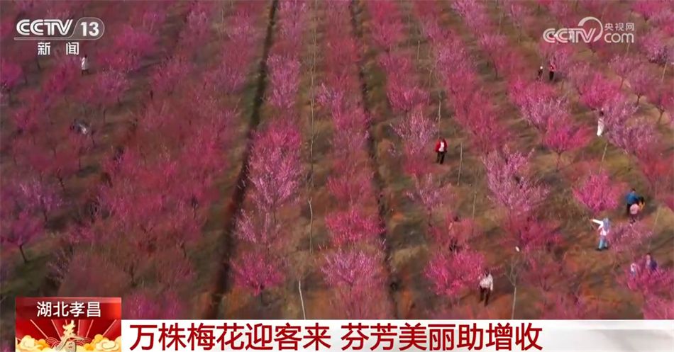 ng体育：美食、美景、“人间烟火” 春暖花开万物复苏 踏青赏景正当时(图3)