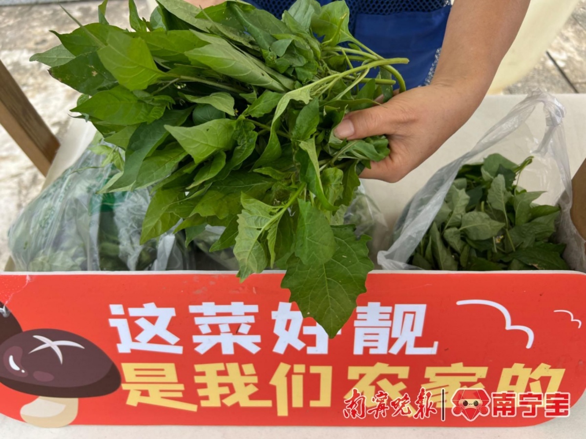 ng体育：春节假期逐渐圆润？节后健康饮食运动指南来啦！(图5)