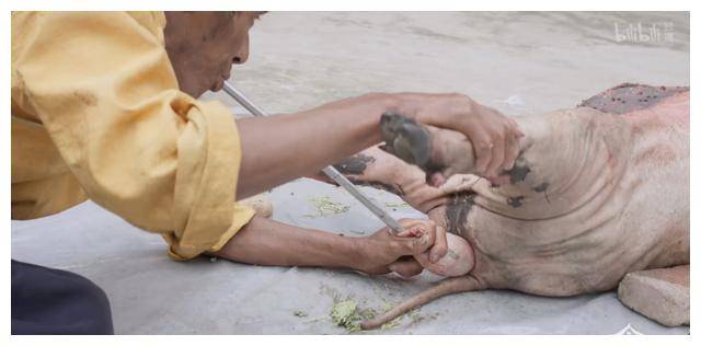 ng体育：探秘奇食记：神秘食谱揭秘美食背后真相揭开！(图6)