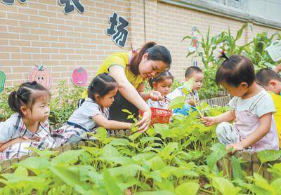 ng体育：合理膳食 吃出健康（健康焦点）(图1)